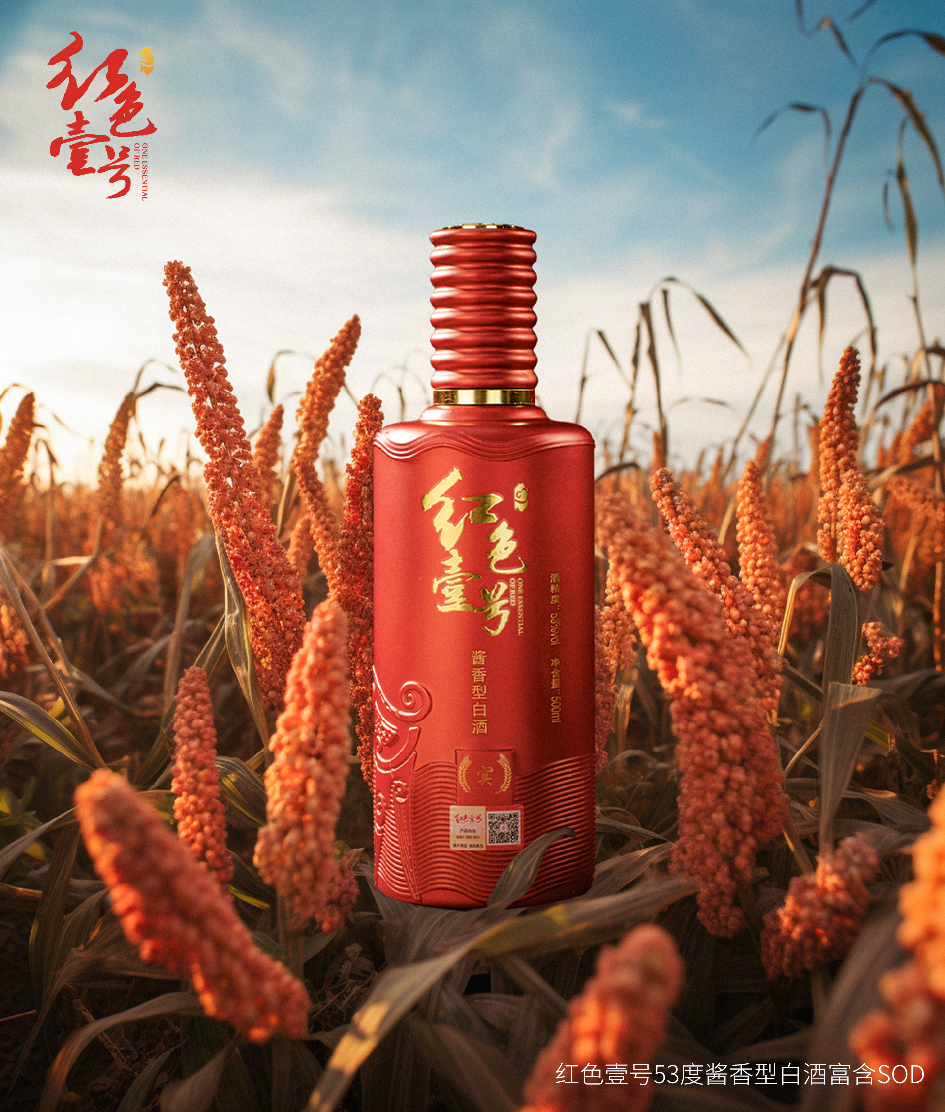 重陽下沙，正是紅色壹號釀造時節(jié)1.jpg