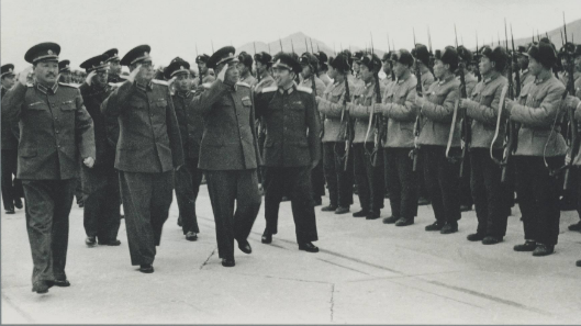劉亞樓任職空軍司令員時，為何要在空軍大院栽種銀杏樹？_鳳凰網(wǎng)視頻_鳳凰網(wǎng)