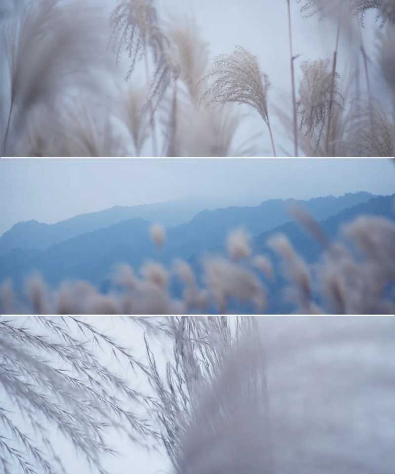 “酂白”是中國(guó)天然形成的色彩之一，是一種白中泛綠的顏色.jpg