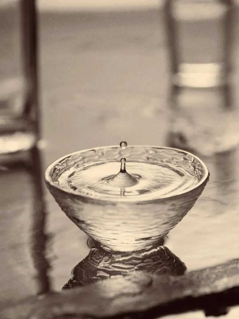 宜賓在古代為敘州府，自古就是名酒產(chǎn)地，宋代產(chǎn)出有春碧、荔枝綠兩種名酒。.jpg