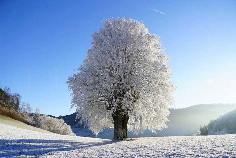 酒中情，雪中夢。.jpg