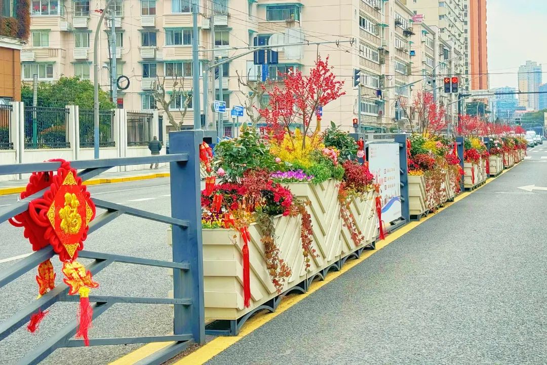 楊浦-長陽路.jpg